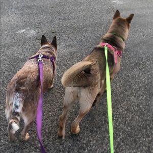 Meet your Posher, Kassidy